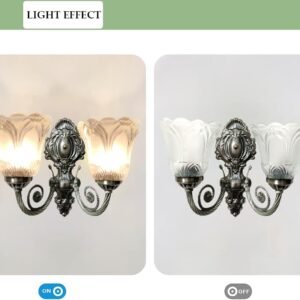 WHITERAY Black Antique Designer Imported Wall Light - Image 3
