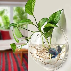 PREMIER PLANTS Wall Hanging Fish Bowl Acrylic