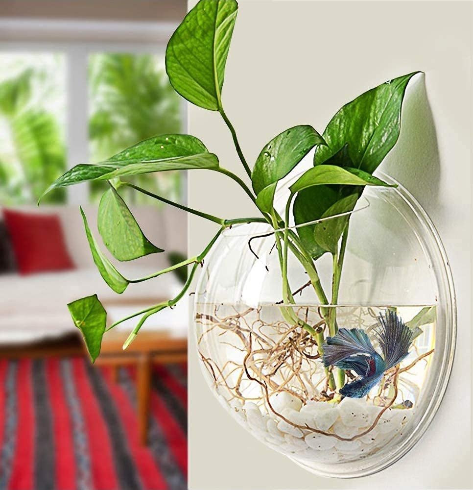 PREMIER PLANTS Wall Hanging Fish Bowl Acrylic